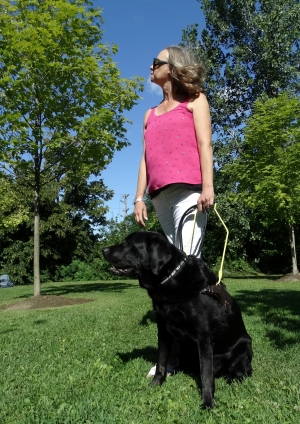 A woman and a black Lab/Golden Retriever in a harness.