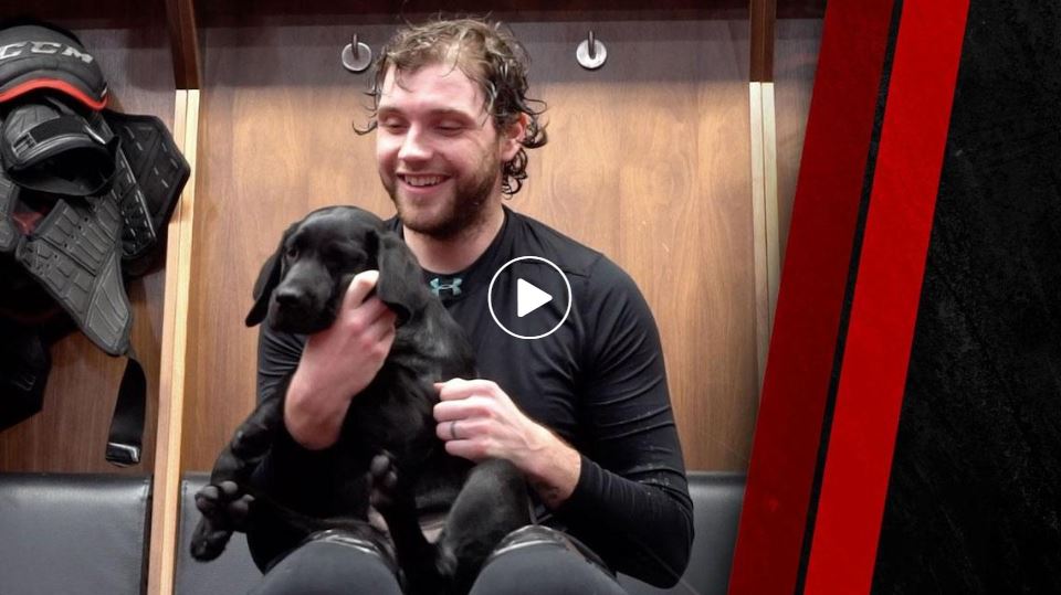 Still image of Ottawa Senators puppy video 