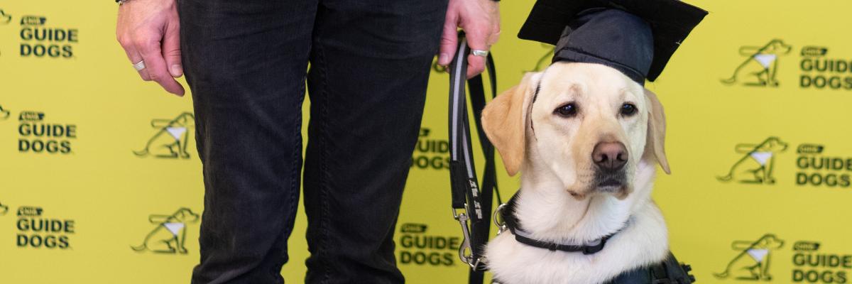 A yellow Labrador-Retriever CNIB Guide Dog attending her graduation, wearing a harness and mortarboard graduation cap. Her handler’s hand is in the frame holding her leash