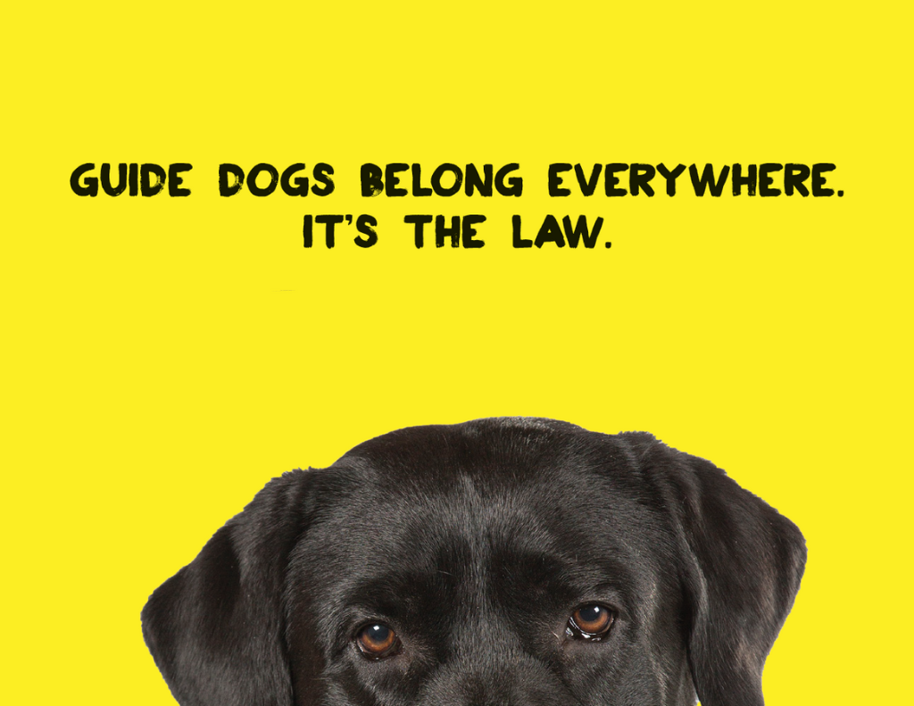 The top half of a Black Labrador's head. Above it's head is the text: Guide dogs belong everywhere. It's the law