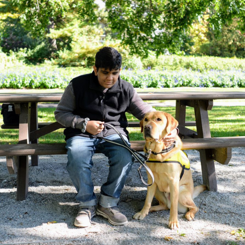 Adam, a child with sight loss, sits next to his CNIB Buddy Dog, Henson outside on a park bench.