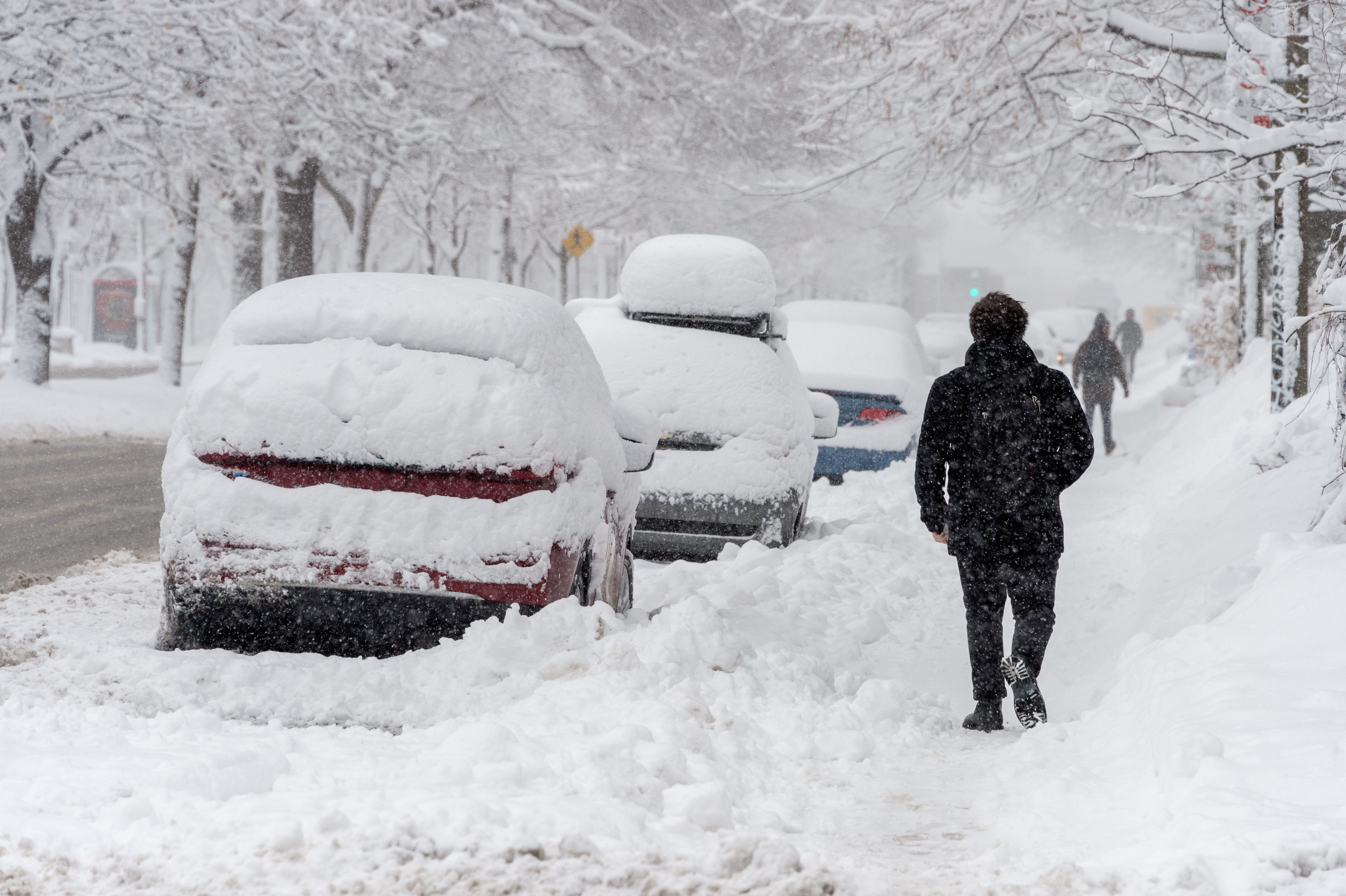 A residential street, sidewalks, and parked cars are covered in snow. A man walks down a snow-covered sidewalk.