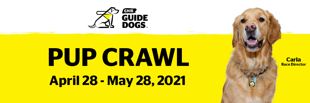 A promotional graphic featuring a golden retriever, Carla, who is a guide dog and the Pup Crawl race director. The CNIB Guide Dogs logo is featured above text that says, “Pup Crawl, April 28 - May 28, 2021”.