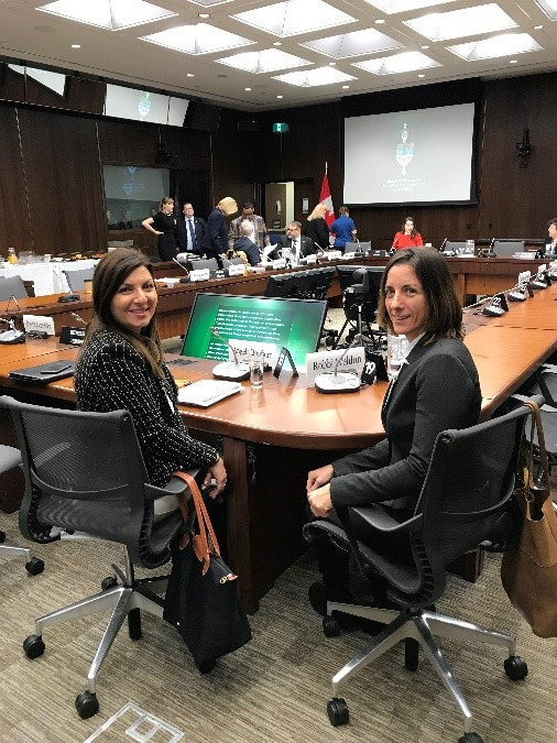 Angela Bonfanti, Vice President, CNIB Foundation (Ontario & Quebec) and Robbi Weldon, Lead, Peer Support & Leisure, CNIB Foundation Ontario East before Standing Committee on Human Resources, Skills and Social Development and the Status of Persons with Disabilities.