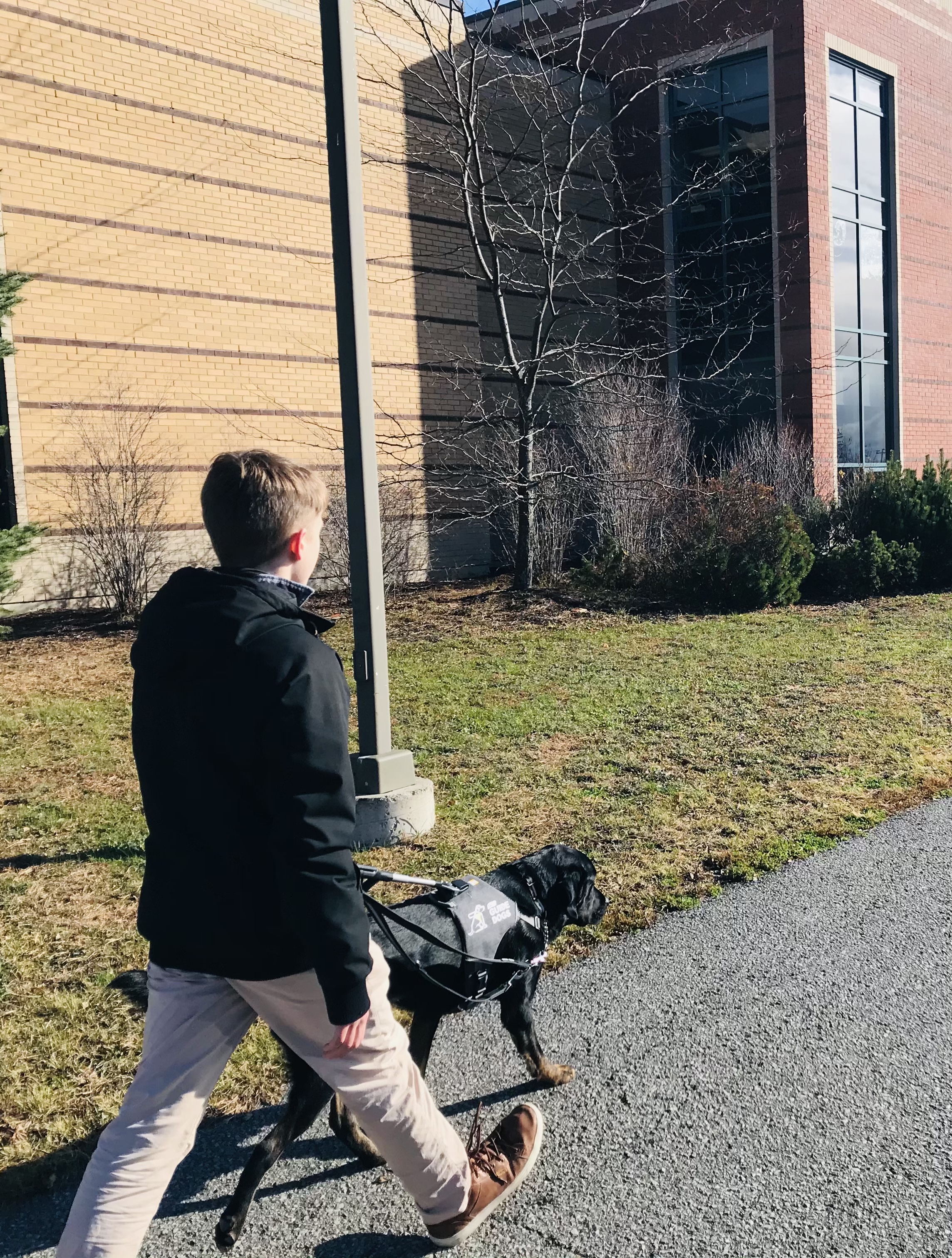 Un jeune homme marchant sur un trottoir avec son chien-guide, un croisement de Labrador-Retriever noir aux pattes bringées