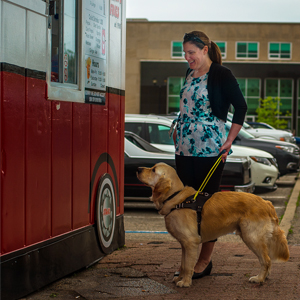 A woman with a Golden Retriever in a yellow harness in front of a food truck.