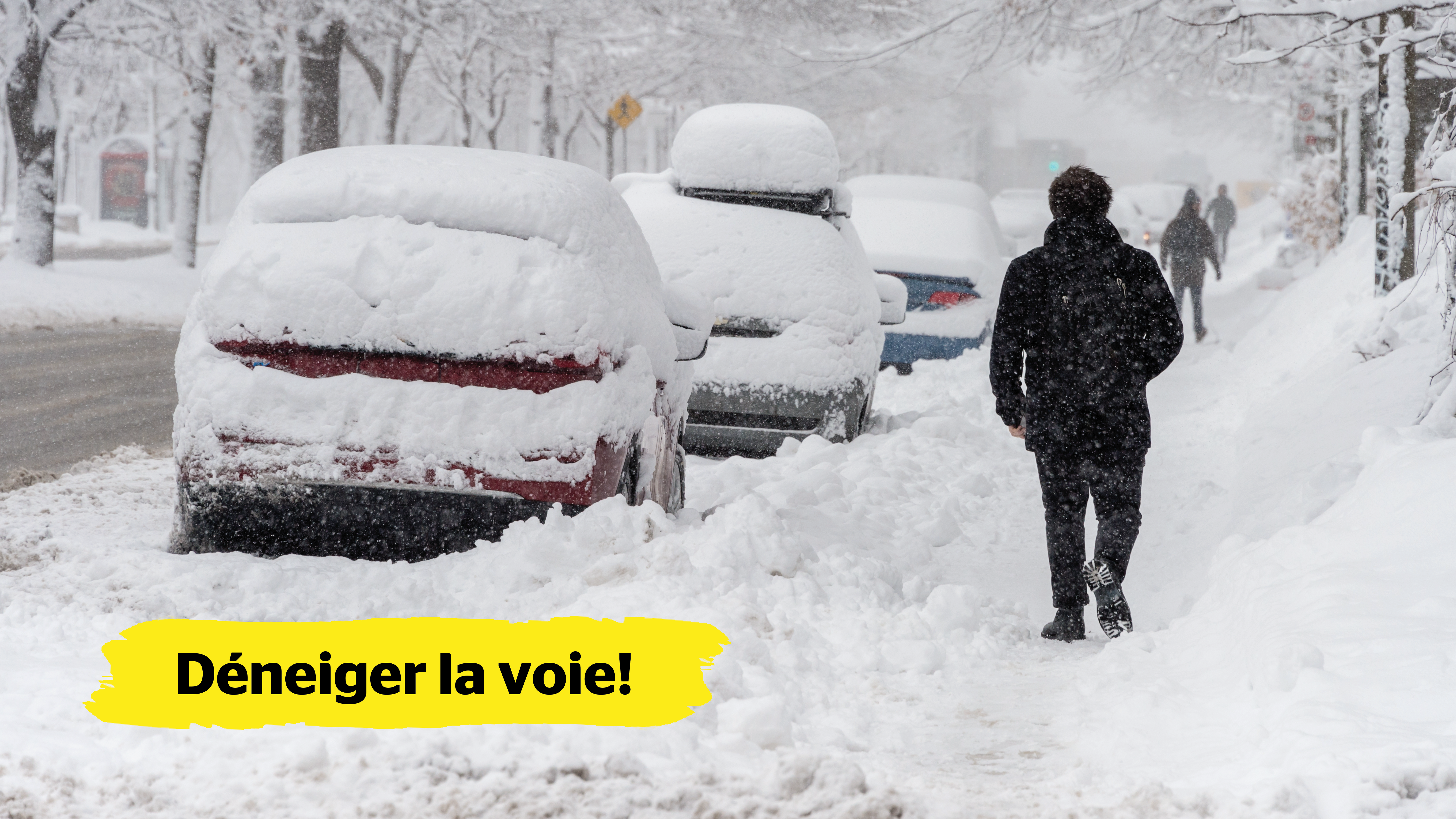 Une rue résidentielle, des trottoirs et des voitures garées sont recouverts de neige. Un homme marche sur un trottoir enneigé.  Dans le coin inférieur gauche de l’image, une bannière jaune affichant le texte « Déneiger la voie! » est superposée.