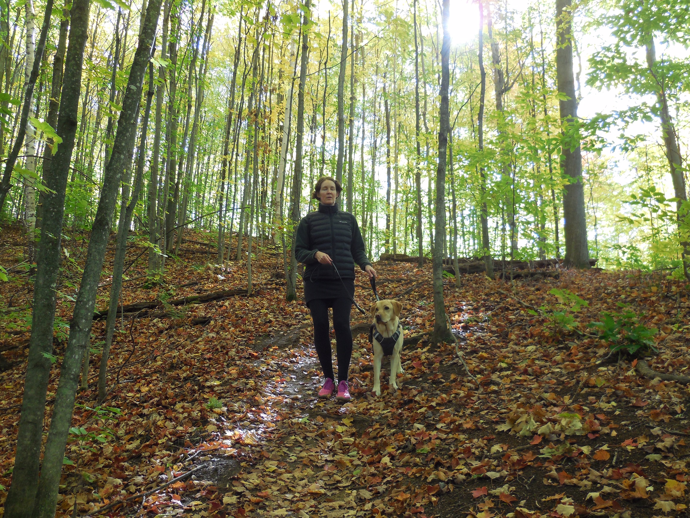 Marie-Claire et Rhonda, marchant dans une forêt verte et luxuriante - le sol couvert de feuilles d'automne multicolores. 