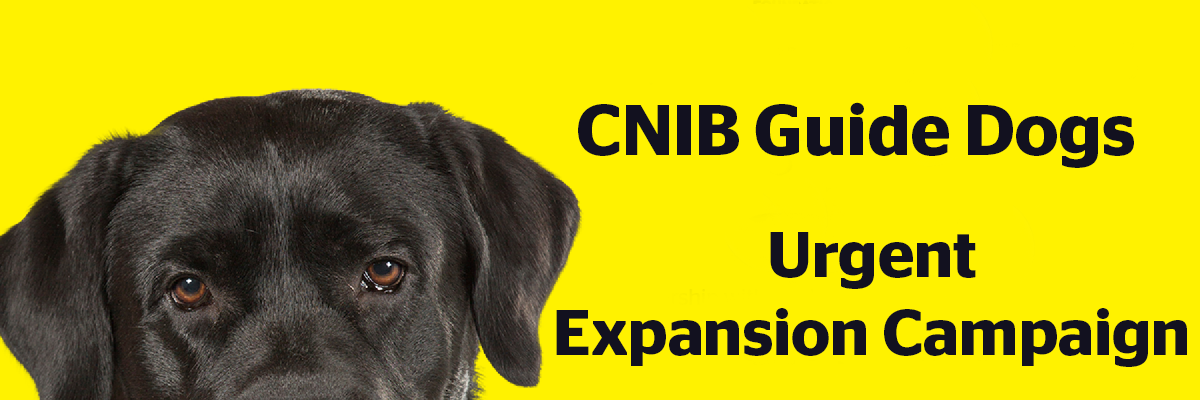 CNIB Guide Dogs