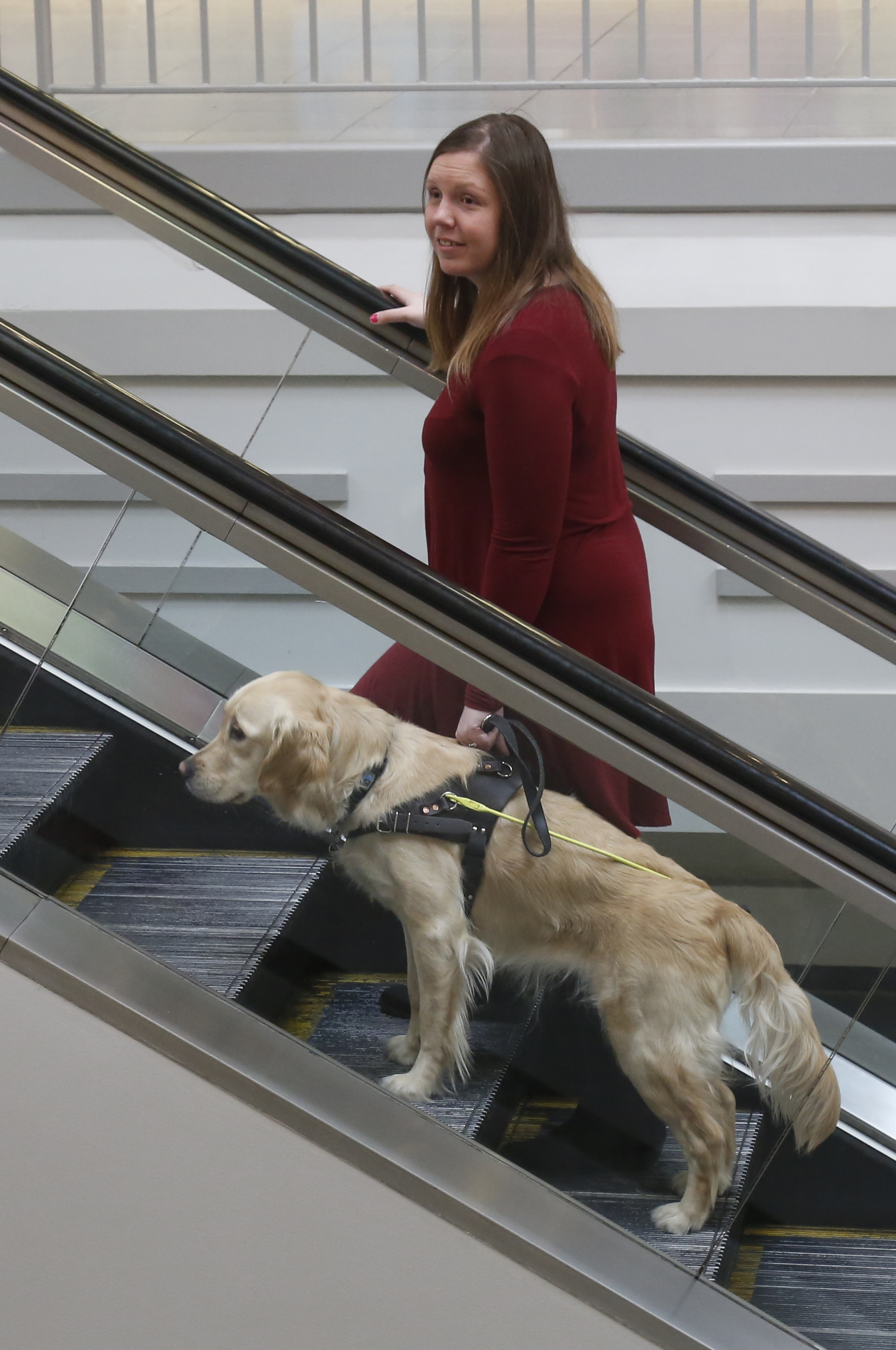 Une femme et son chien-guide montant un escalier roulant dans un centre commercial; le chien-guide est un golden retriever