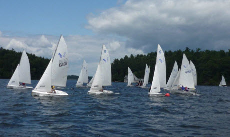 Many sailboats with white sails on the water of Lake Joseph