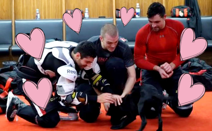 Ottawa Senators players play with puppy in locker room