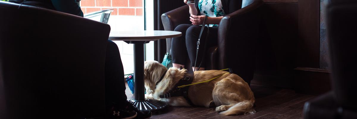 Deux personnes assises dans un café qui parlent et rient. Un chien-guide est couché sous la table à leurs pieds.