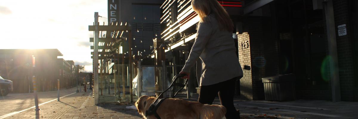 Une femme et son chien-guide, un golden retriever, marchant sur un trottoir au coucher de soleil, en contrechamp de l'appareil photo.