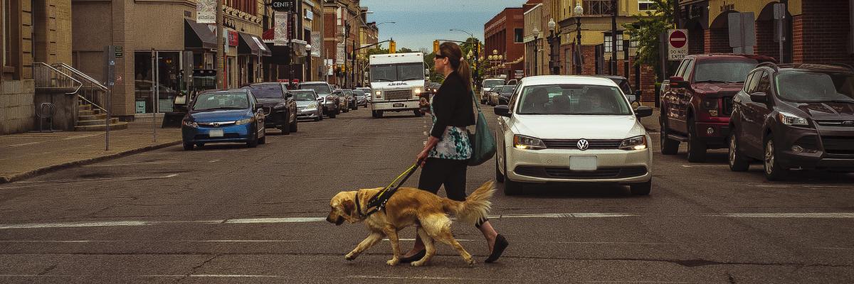 Larissa et son chien-guide Piper traversant un passage pour piétons sur une rue achalandée.
