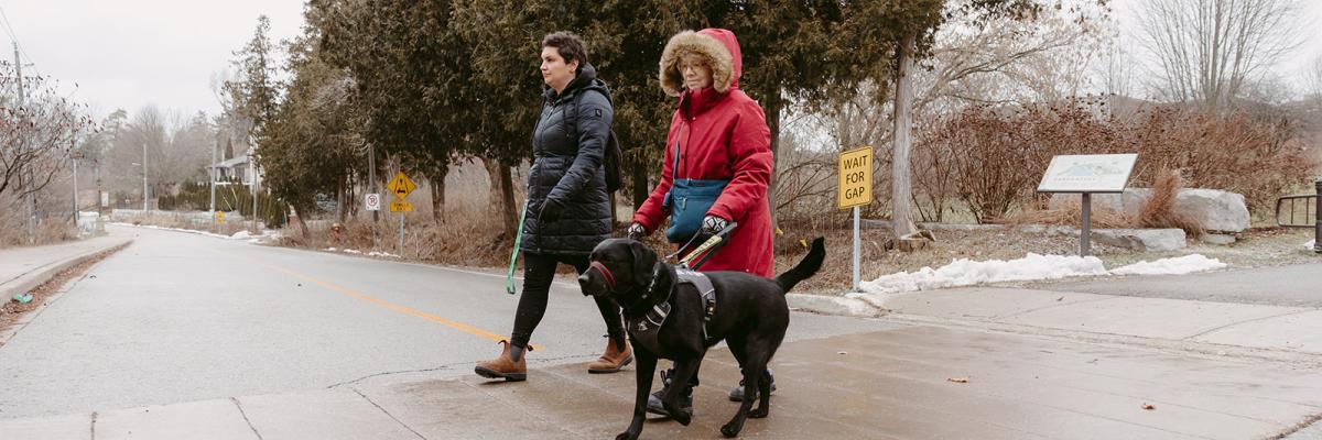 Cheri traverse la rue, guidée par Sassy, son chien-guide d’INCA, une chienne labrador-retriever noire, qui marche à sa gauche. Cheri porte un manteau rouge et un capuchon à poils.  L’intervenante de Cheri, qui porte un manteau noir, marche à sa droite.