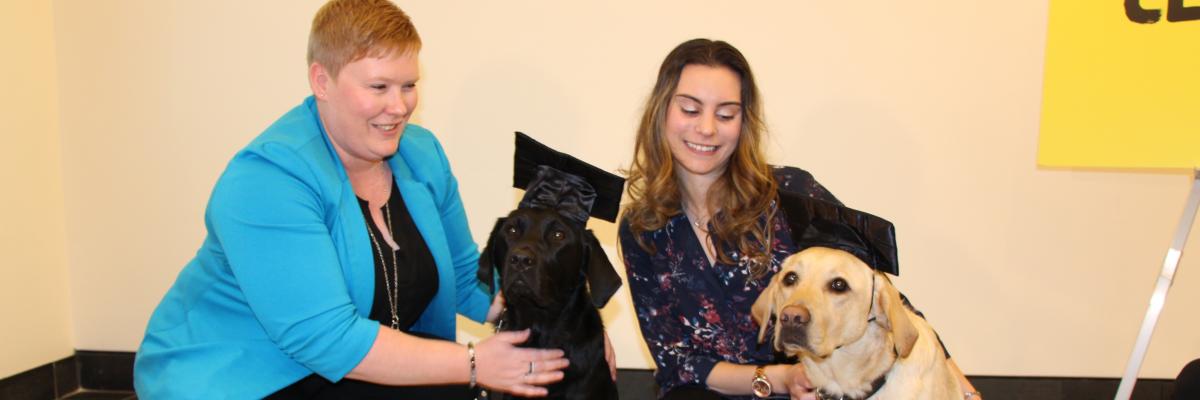 Ashley and Danson (a black Lab/Golden Retriever Cross) and Danika and Ulysses (a Golden Retriever). The dogs are wearing graduation caps.