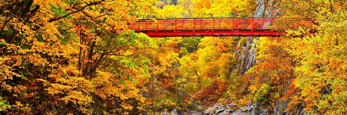 Bright Red Bridge over a river in the fall season