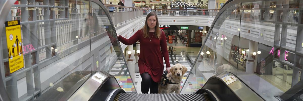 Une femme monte un escalier mécanique avec son chien-guide.