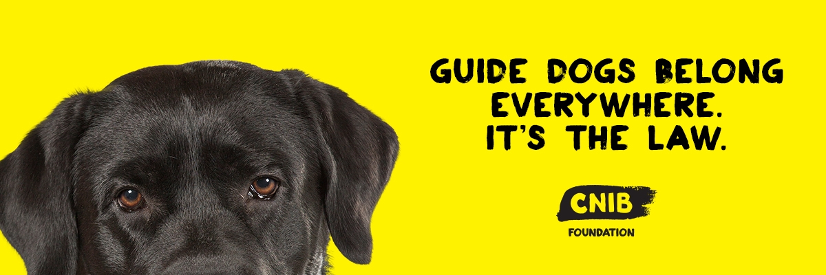 The top of the guide dog's head against a yellow background. The dog is a black lab, and its head appears halfway down the page. The text "Guide dogs belong everywhere. It’s the law.” The CNIB logo appears above the dog's head.