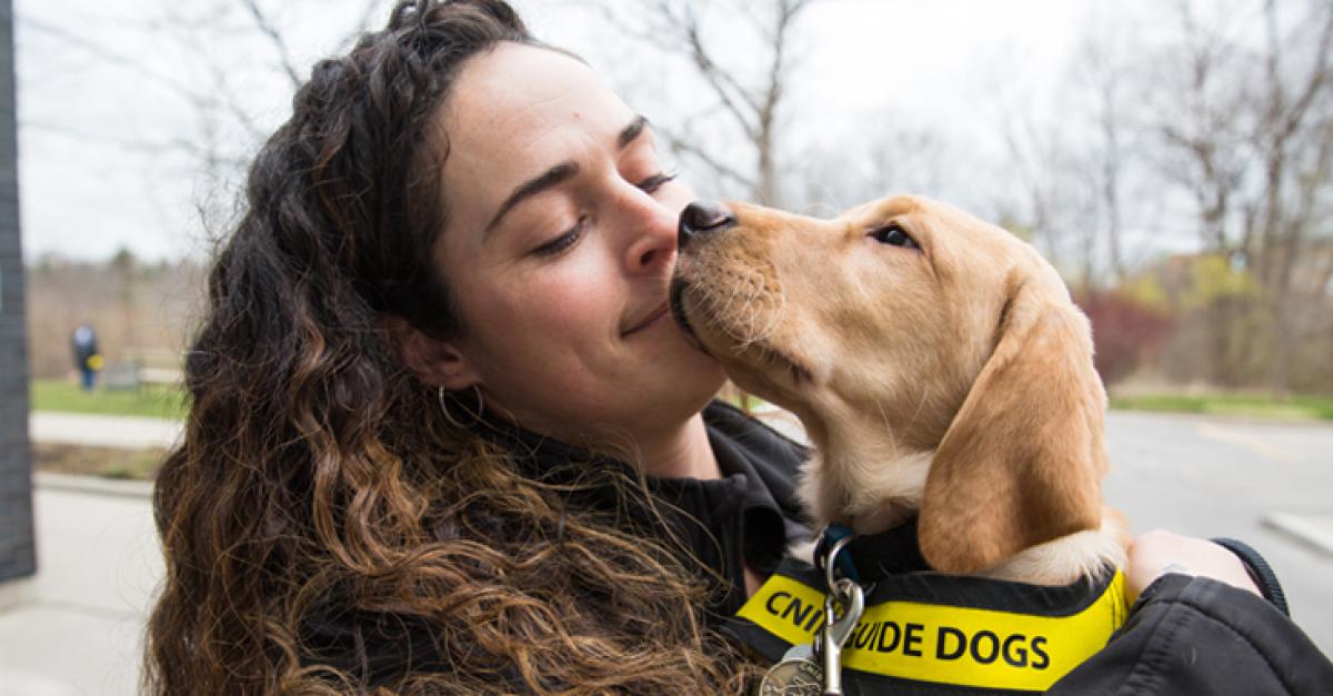 how long is the wait for a guide dog