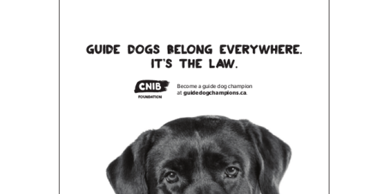 A white banner featuring a black lab pupping. The banner features his eyes peeking over the bottom of the page. Text "Guide dogs belong everywhere. It's the law."