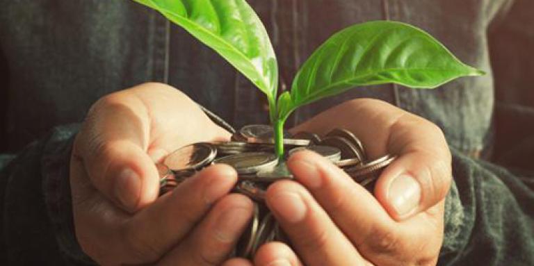Hands holding a pile of coins with a green plant growing from within them 