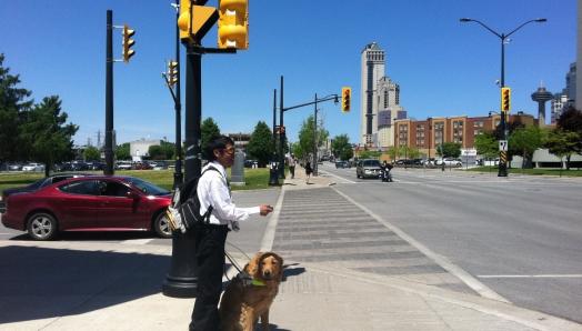A young man and his guide dog stand on the corner of a busy intersection. In his right hand, he holds a Key2Access Fob. In his left hand, he holds the Guide Dog harness 