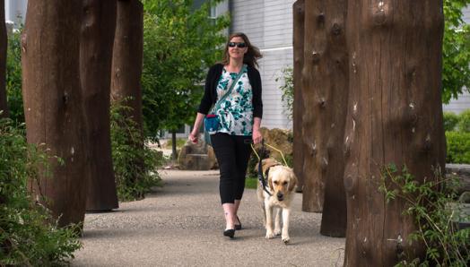 A woman and a yellow guide dog in a harness walking down a park path.