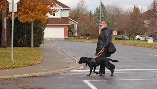 Photo of Ashley and her guide dog Danson walking in a crosswalk on a cloudy day. 