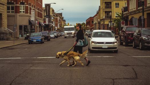 Larissa and her guide dog Piper walking in a crosswalk across a busy street. 