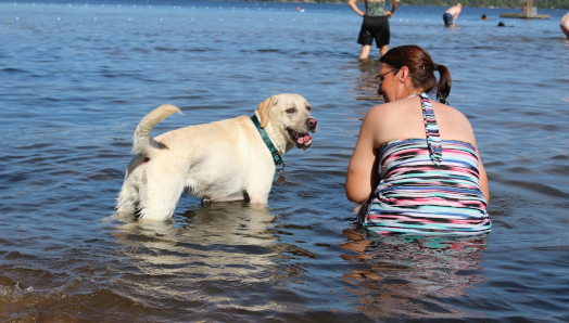 A woman wearing a bathing suit and a yellow lab dog wearing a collar sit in the lake at CNIB Lake Joe.